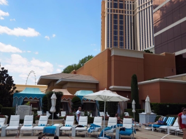 11695926_10207495092843901_8571608488627932062_n