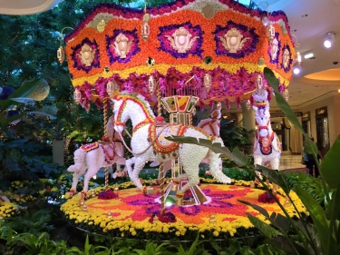 The Aesthetic Show_4